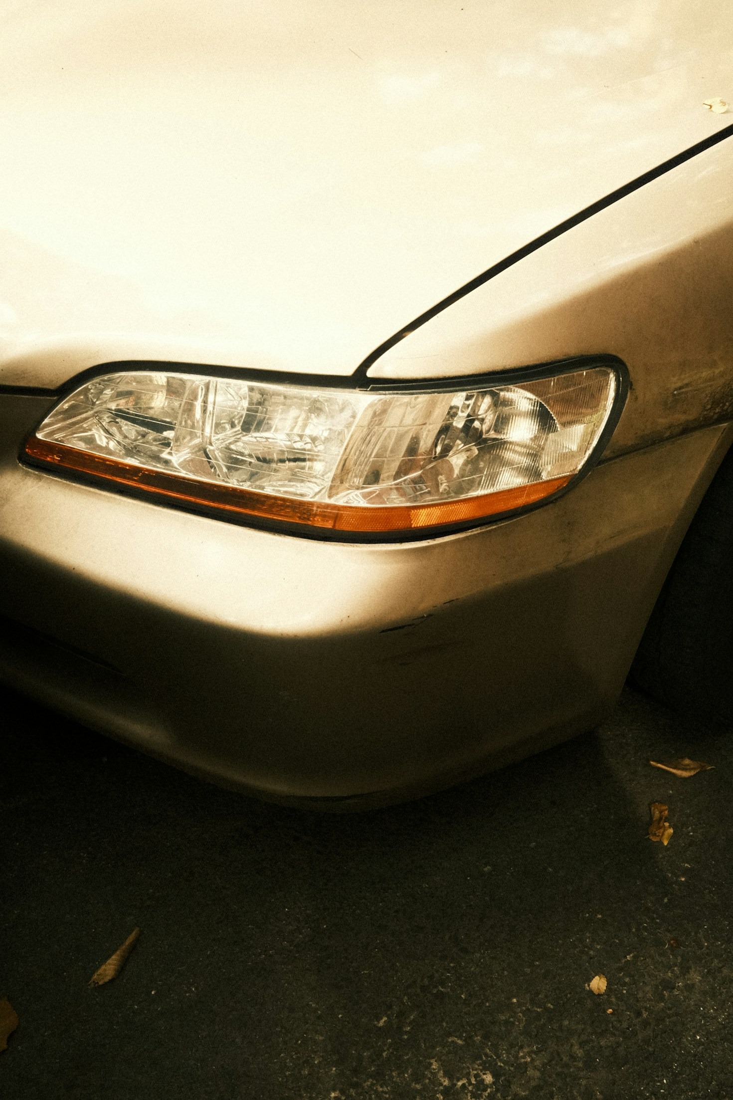 Understanding the Basics of Professional Automotive Care